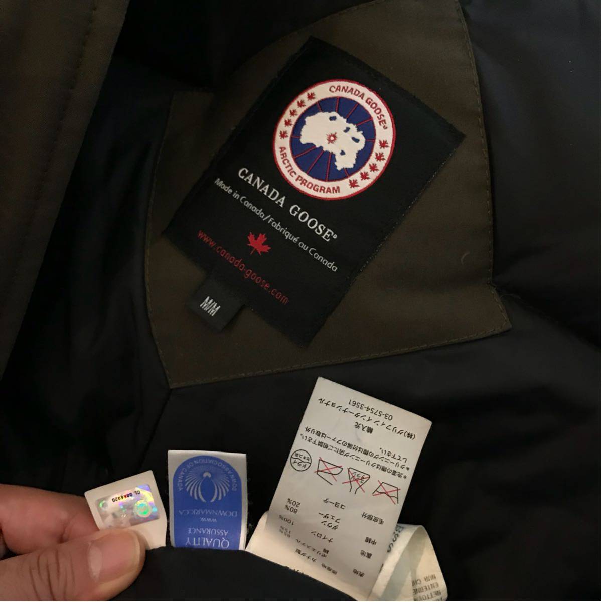 CANADA カナダグース ジャスパー GOOSE(カナダグース) GOOSE ⁄ アース 