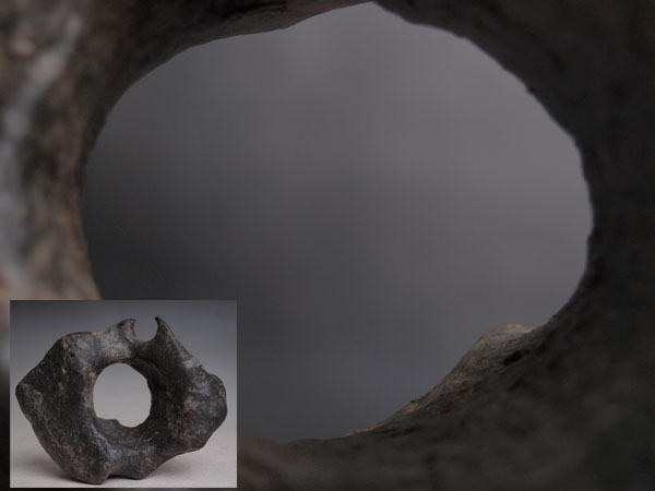 d260560156.1