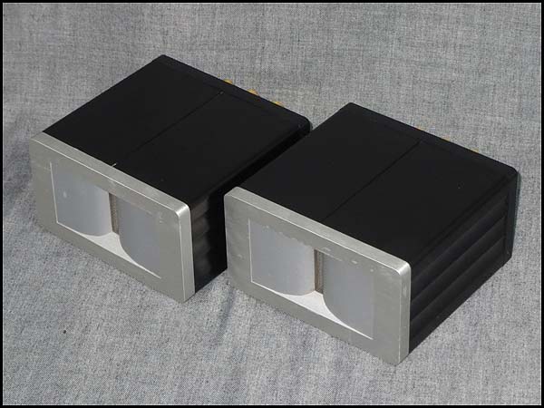 PT-R6 Pioneer PIONEER リボン型スーパートゥイーター - パイオニア