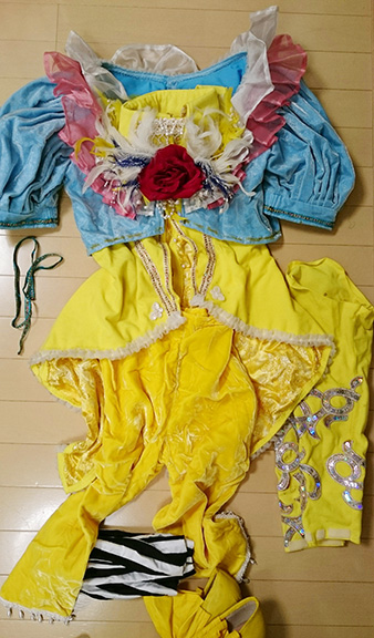 難あり】コスプレ衣装☆サガフロンティア☆アセルス☆フルセット