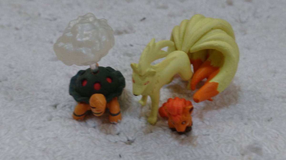 立体ポケモン図鑑コータス ロコン キュウコン