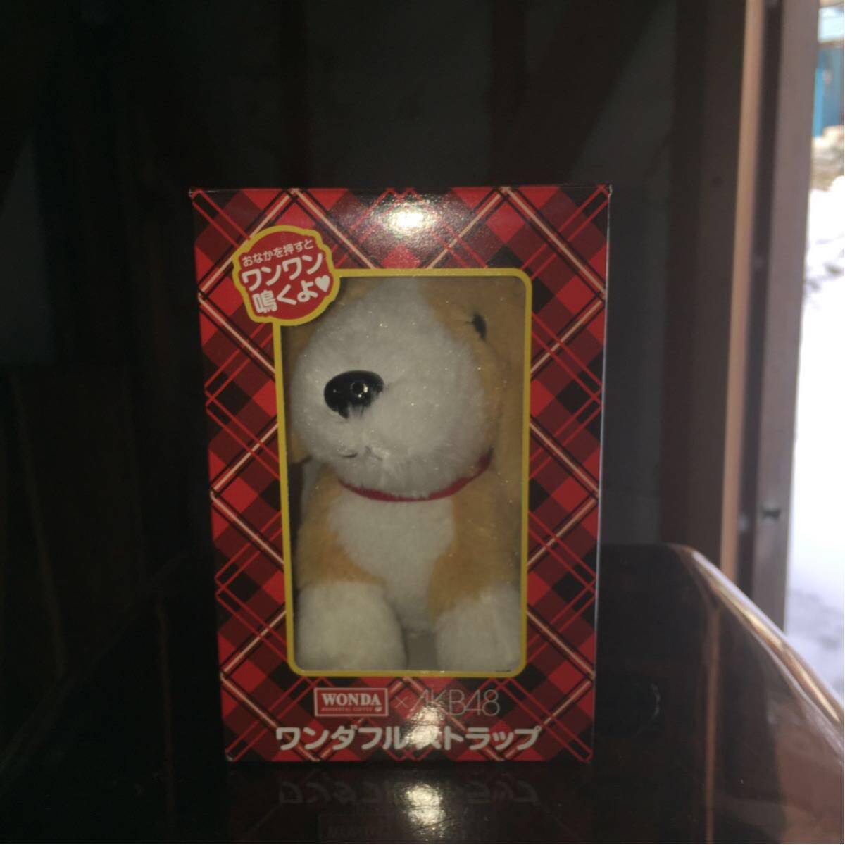 完全未開封　AKB48×WONDA ワンダフルストラップ&缶コーヒー　2点セット 完全未開封 AKB48×WONDA ワンダフルストラップ&缶コーヒー 2点セット