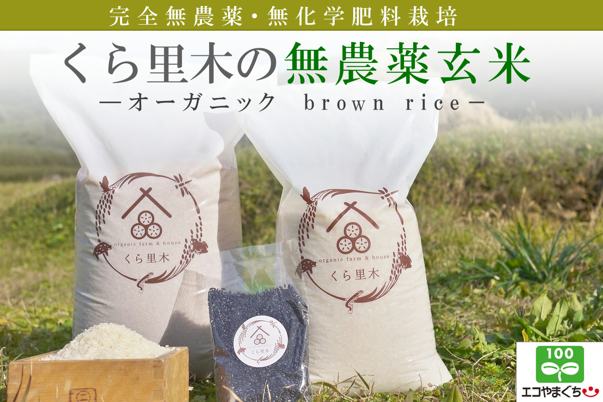 無農薬 発芽玄米 令和7年度産 無農薬玄米の通販 無農薬のお米（玄米 