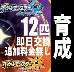 350件実績あり！【ポケモンウルトラサンムーン】データ 12匹(2回目以降14匹)育成代行交換 *かんたんWi-Fi受取*(道具12個付き) 正規販売_1