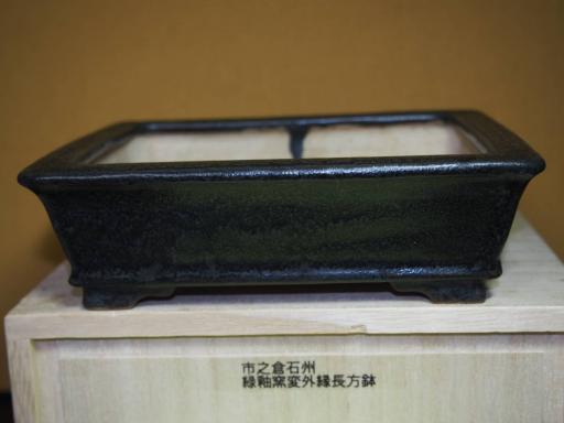 『大和魂』釘彫款箱付【市之倉石州】濃緑釉窯変外縁下紐長方鉢・巾16.4cm