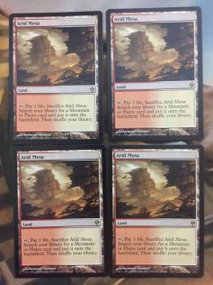 乾燥台地 4枚セット MTG 乾燥大地 日本語版 EX MTG乾燥大地4