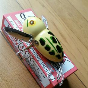 道楽あぶらぜみ新品