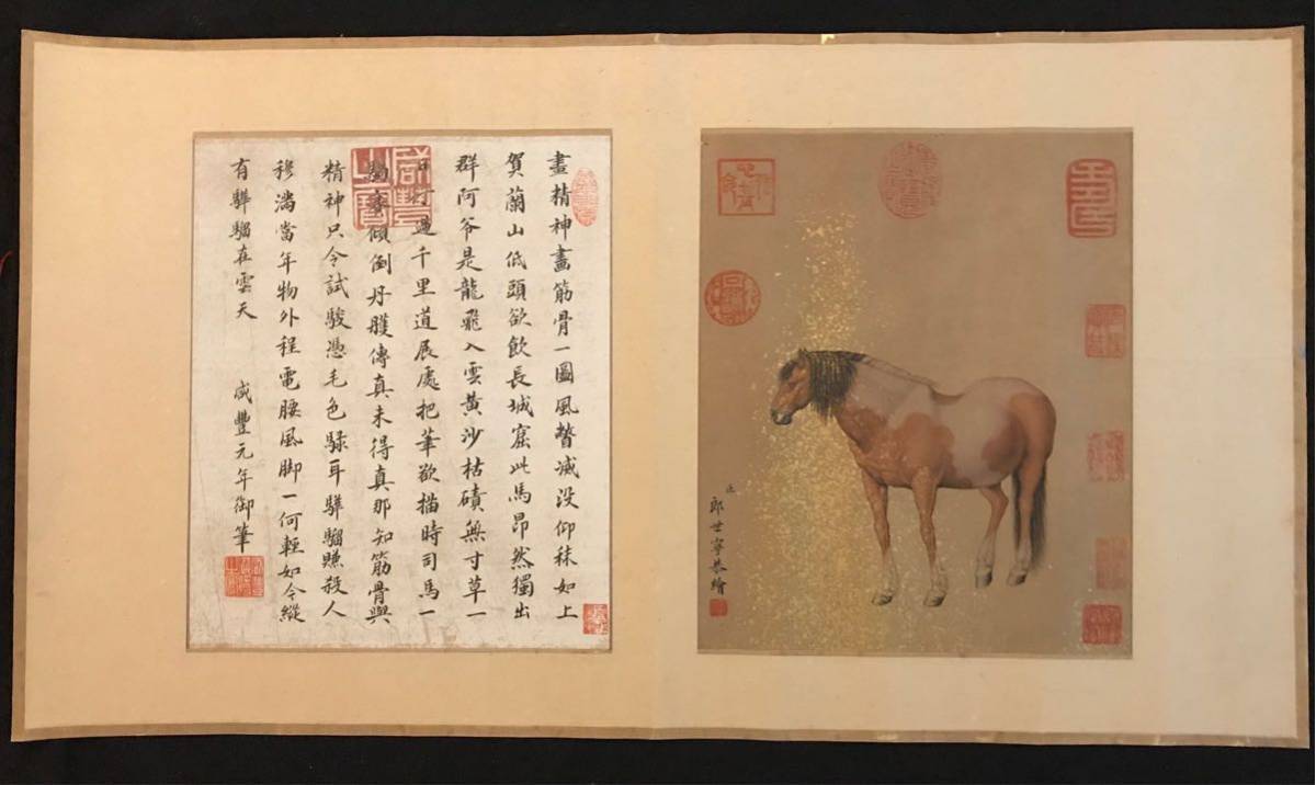 掛け軸 掛軸 中国美術 肉筆保証 絹本 郎世寧 【公式通販】