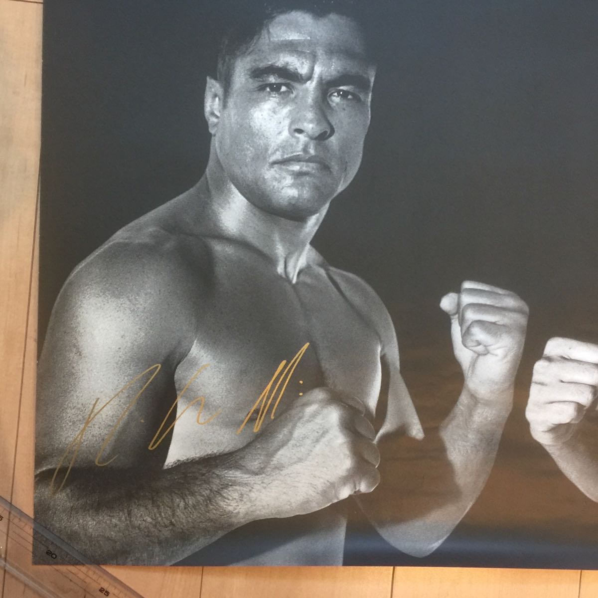 Pride Rickson B1ポスター PRIDE.1 ヒクソン グレイシー 高田延彦 プライド 総合格闘技 UFC MMA KRS 1997年10月11日 ...