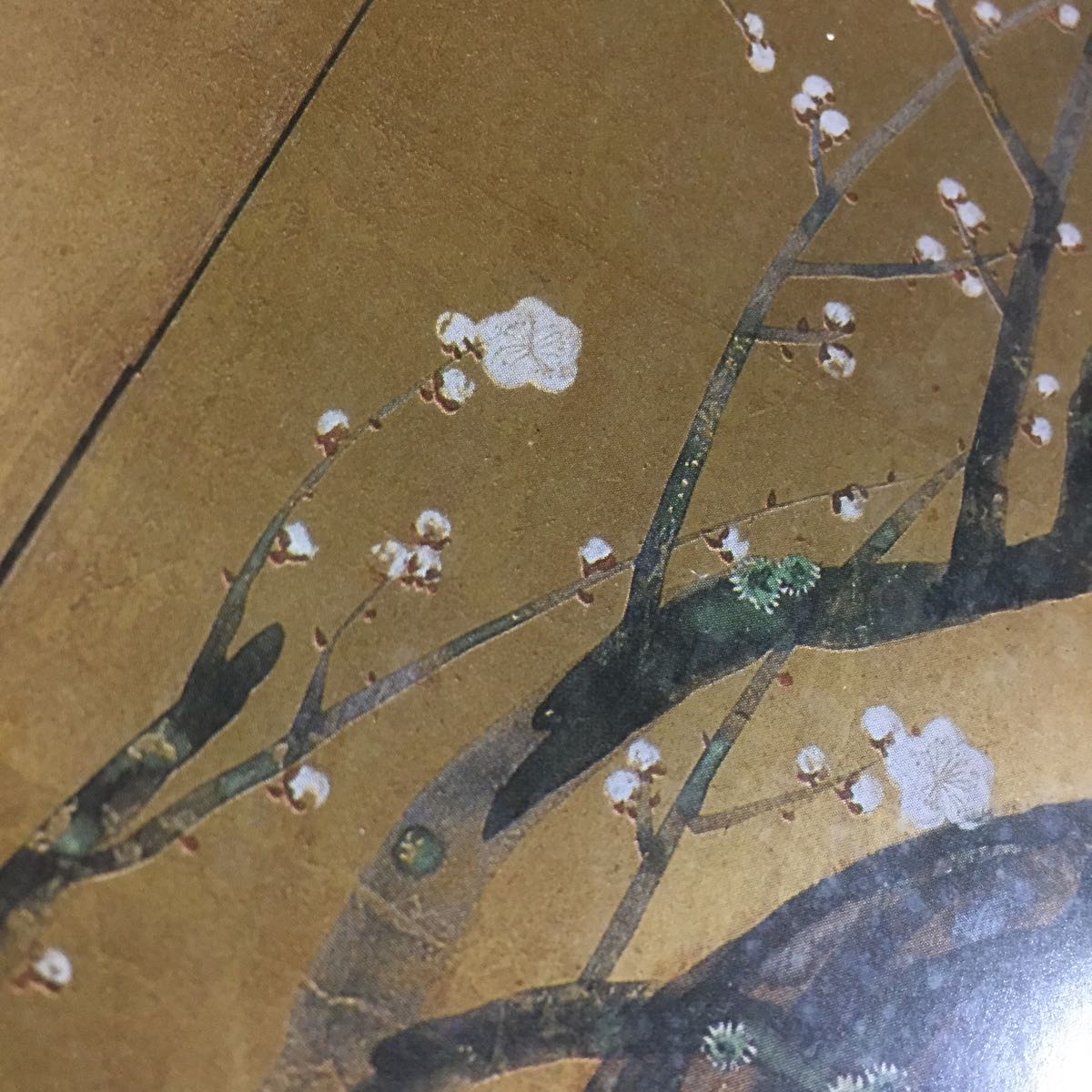 中古【同梱不可】B1443 絵画 紅白梅図 尾形光琳 大塚巧藝 欄間額 約82×41cm 和インテリア ポスター? 日本画 壁掛け 床飾り 茶道 長期保管_7