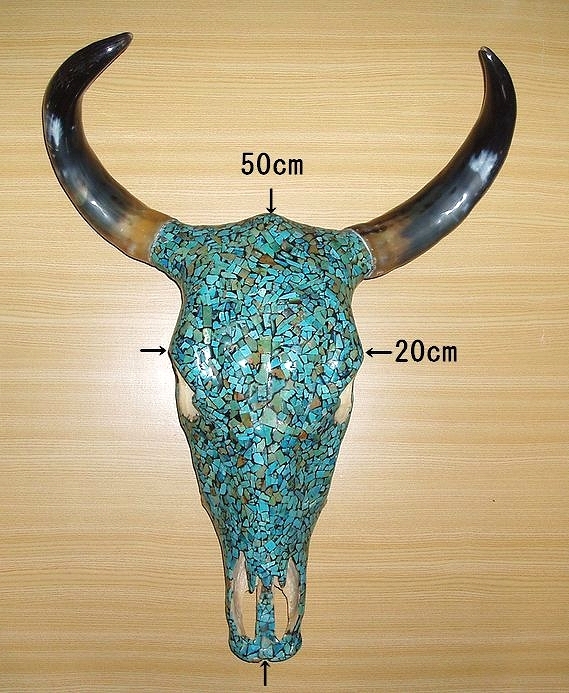 カウスカル【期間限定SALE‼️】 バッファロースカル(牛頭骨・頭蓋骨：ターコイズ装飾：カウスカル