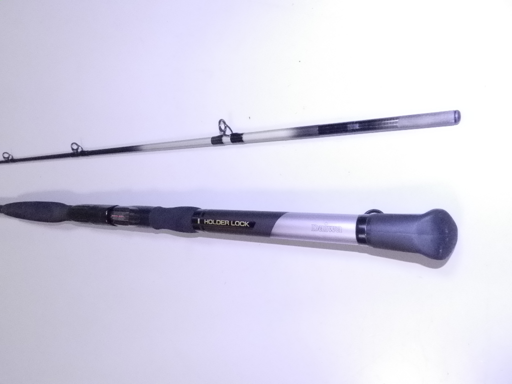 希少外ガイドHZ剣崎！アジ・イサキ～真鯛などに最適！Daiwaダイワ”HZ剣崎50-270”美品_2