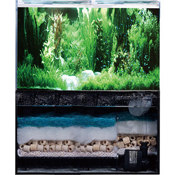 NISSO CROSS WIDE クロスワイド 水槽 40cm 小型オーバーフロー水槽