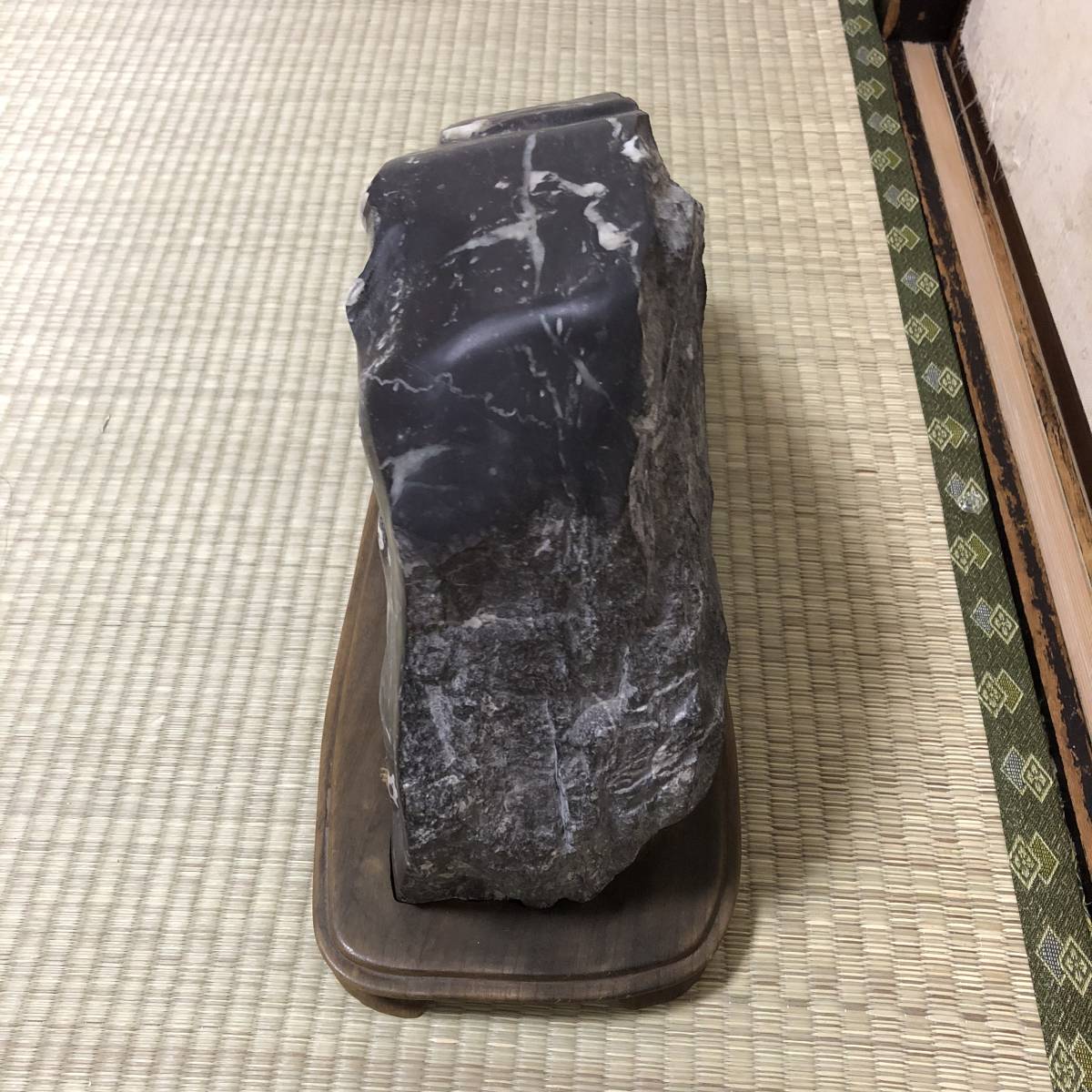 希少大型20キロ！天然記念物、北九州 門司梅花石 ウミユリの化石