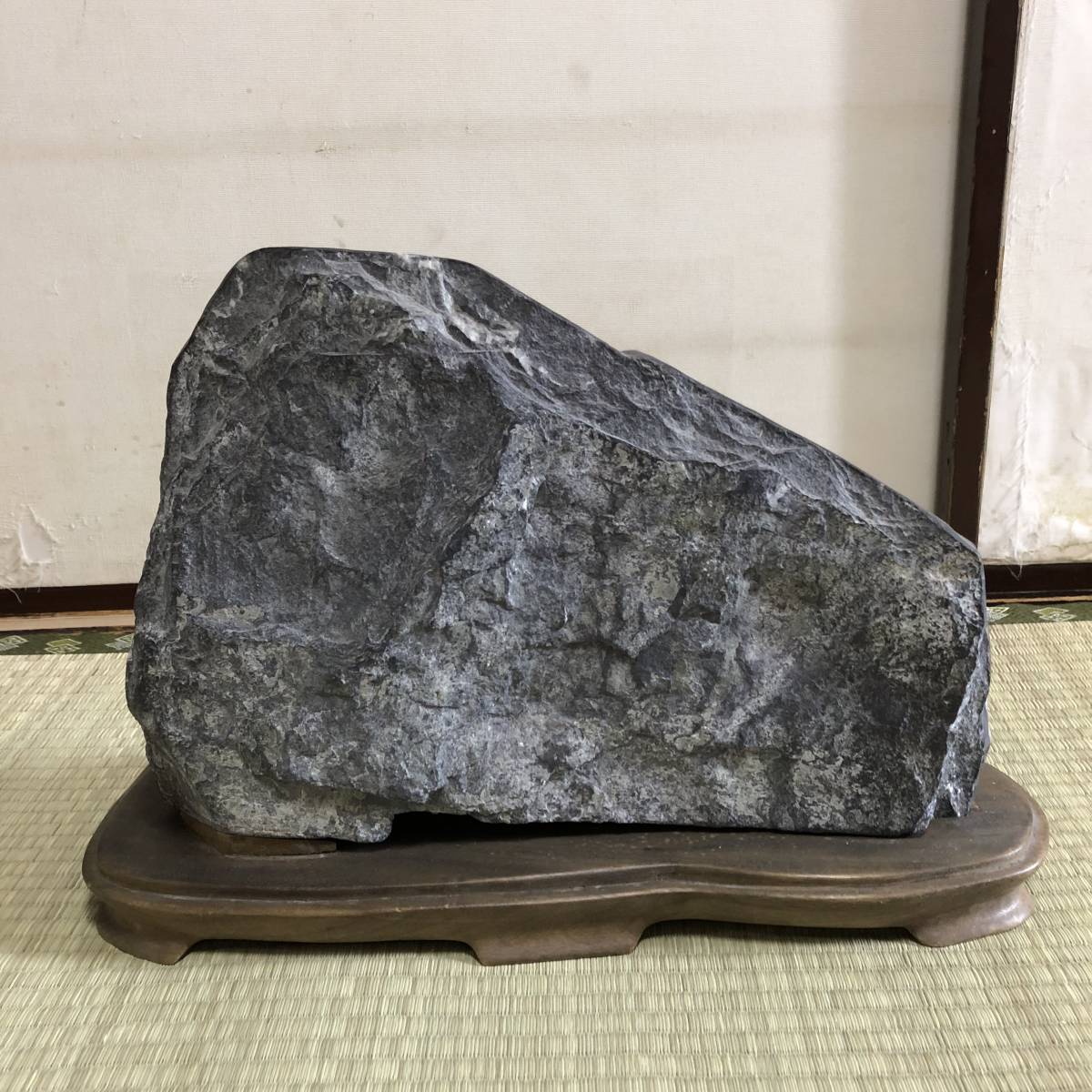 希少大型20キロ！天然記念物、北九州 門司梅花石 ウミユリの化石