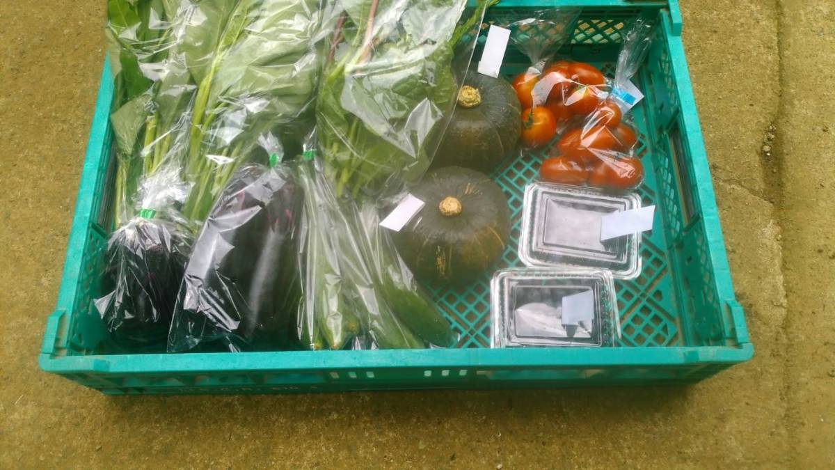 有機・無農薬栽培の野菜詰め合わせの見積もり　１_1