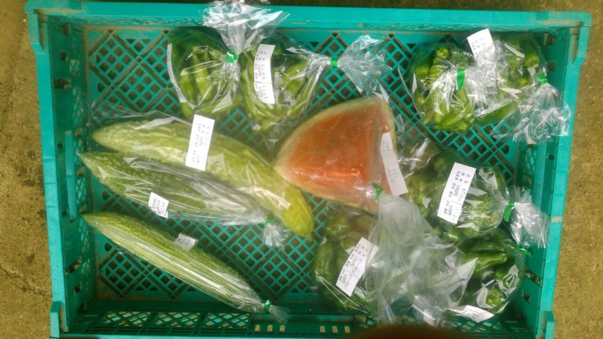有機・無農薬栽培の野菜詰め合わせの見積もり　１_2