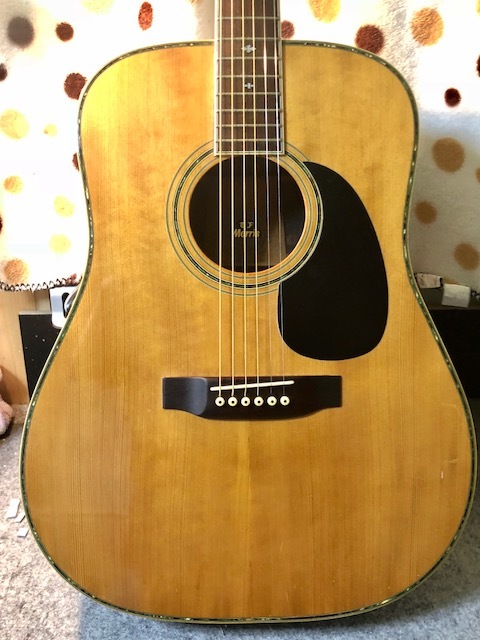 モーリス W-60 Morris モーリスヴィンテージギター W-60 モーリスw60