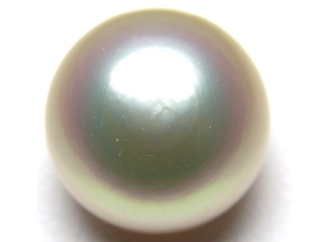 g290391952.1