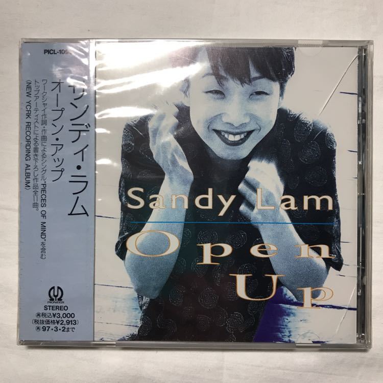 CD 林憶蓮 Sandy Lam Open Up サンディ・ラム 廃盤 Sandy 林憶蓮 CD サンディ・ラム Lam Open Up 廃盤 - 未開封 帯付CD