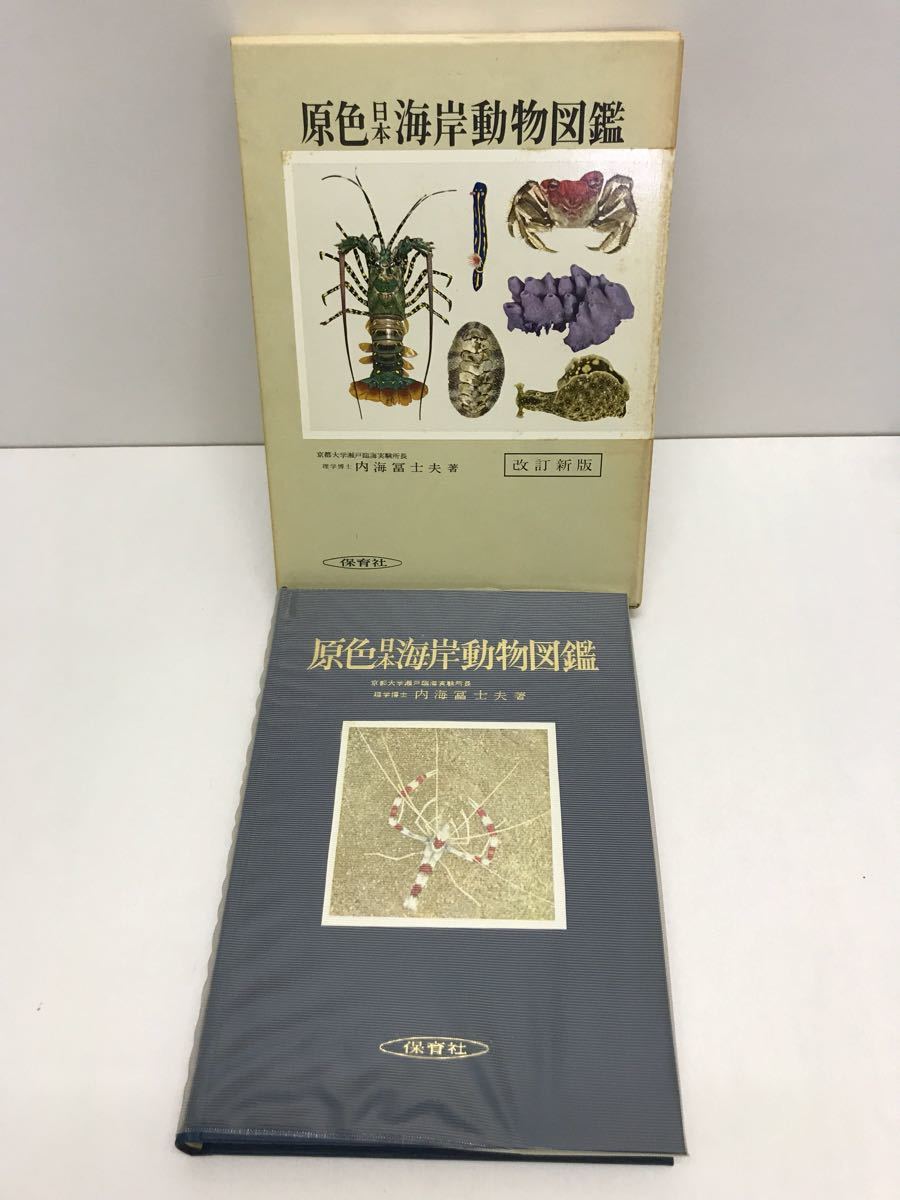 原色日本海岸動物図鑑 改訂新版 内海富士夫 保育社 生物学 売買されたオークション情報 Yahooの商品情報をアーカイブ公開 オークファン Aucfan Com