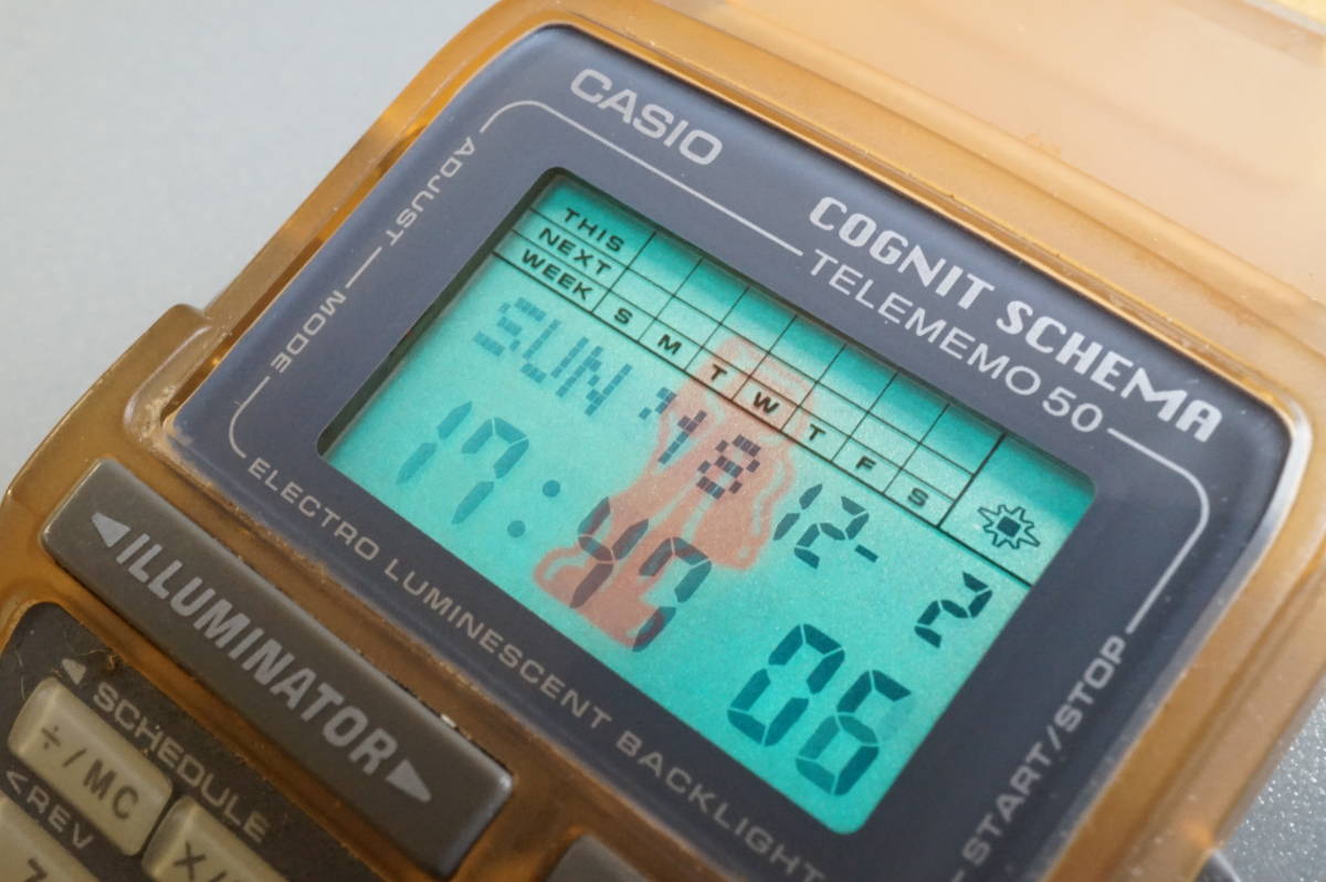 COGNIT SCHEMA TELEMEMO カシオ　フクロウ　データバンク カシオ データバンク コグニット シェイマ CASIO DATA BANK COGNIT