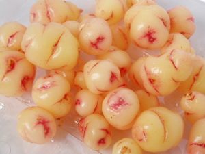 レア野菜 オカ芋 食用オキザリス アンデスカタバミ 同梱可 D オキザリス 売買されたオークション情報 Yahooの商品情報をアーカイブ公開 オークファン Aucfan Com