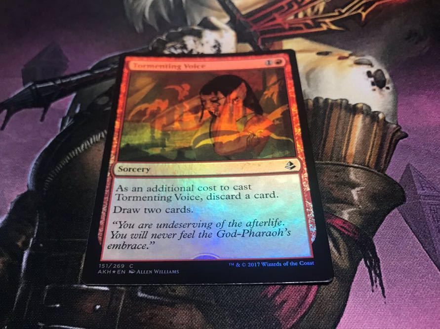 日本最大級 · the Take Torment《日本語》DSK MTG エラーカード 《苦しめる