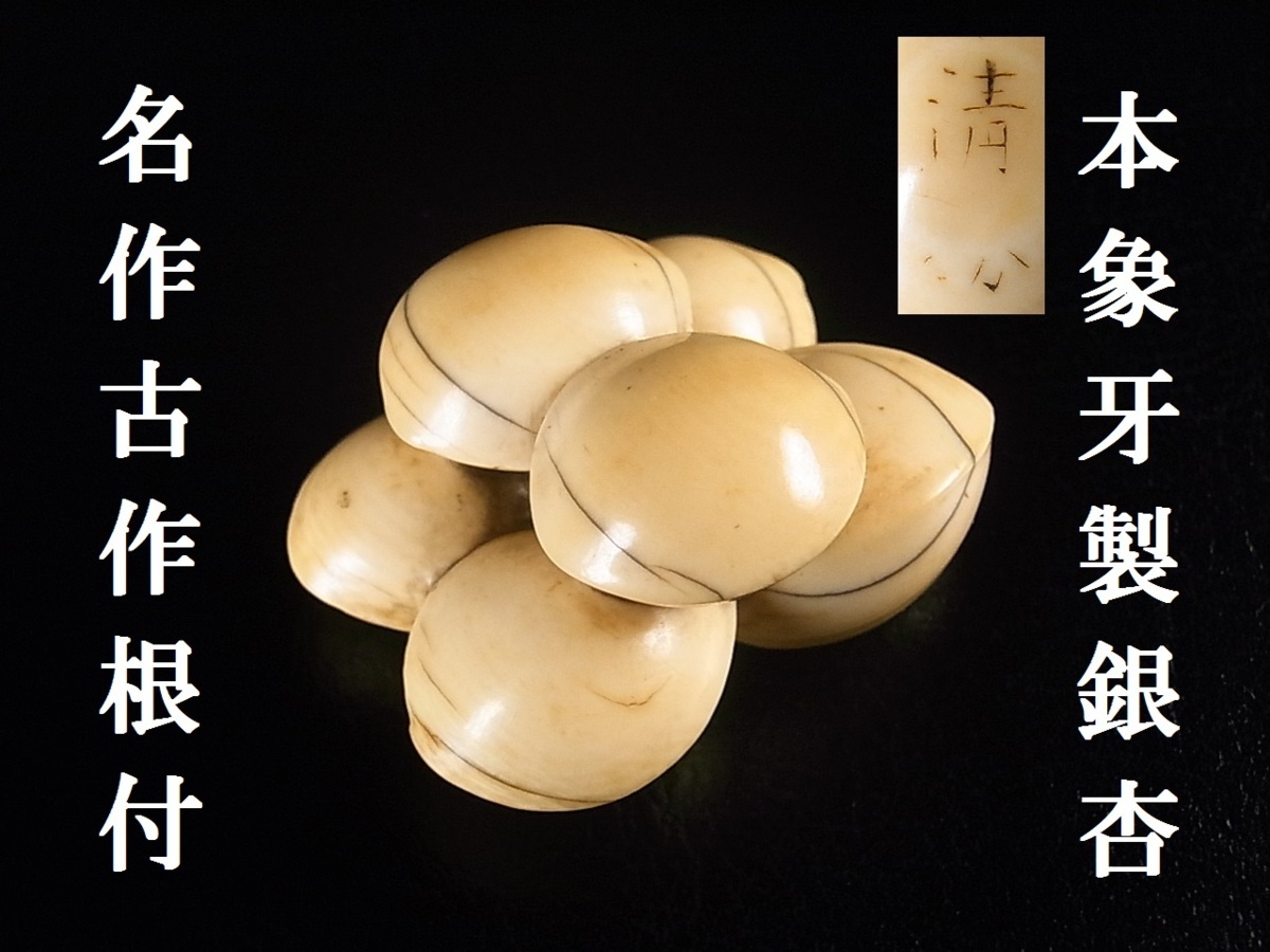 桜井広晴 在銘 「行水する女」 根付 古美術 根付 銘（桜井広晴） 雨蛙象牙 広晴 無形文化財 大黒様 なすび