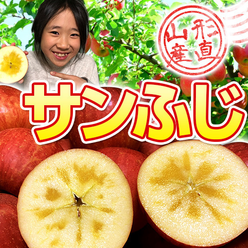 サンふじ りんご 山形県産 10kg ふじ 訳あり リンゴ ご家庭用 送料無料