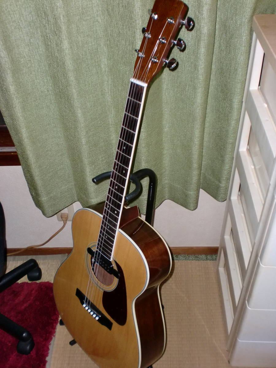 アコースティックギター モーリス MORRIS 公式通販 Morris MF-251 MF