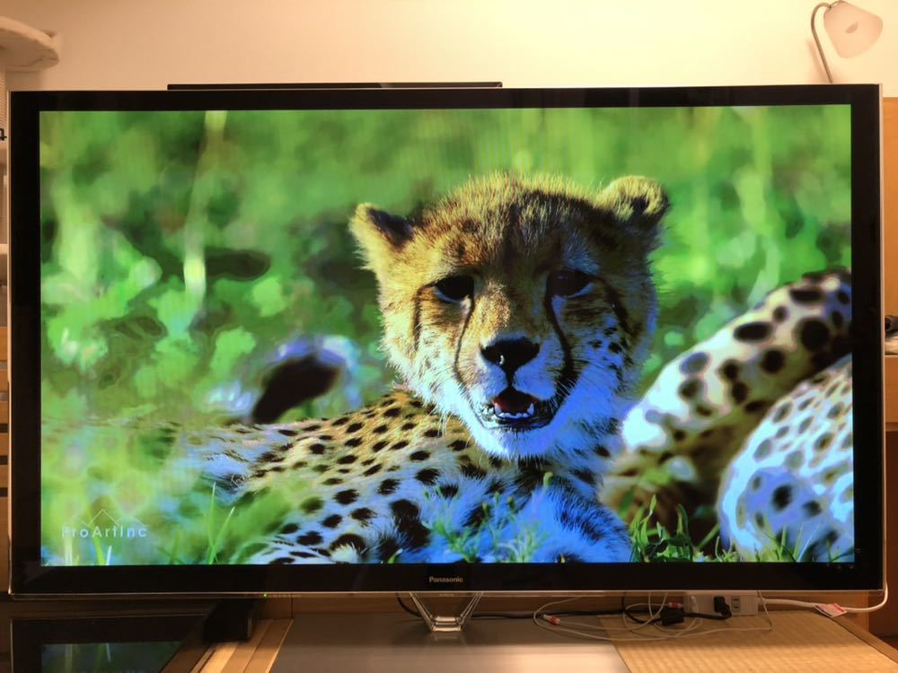 Panasonic 最後のプラズマテレビVIERA TH- P55VT60 【公式通販】