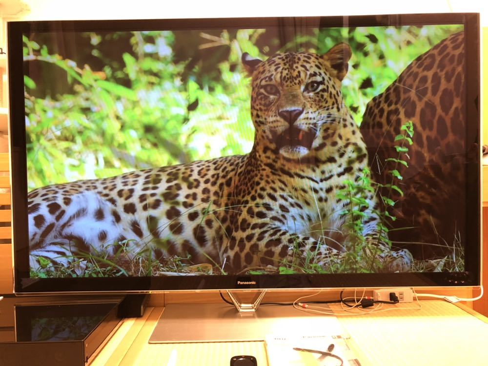 Panasonic 最後のプラズマテレビVIERA TH- P55VT60 【公式通販】