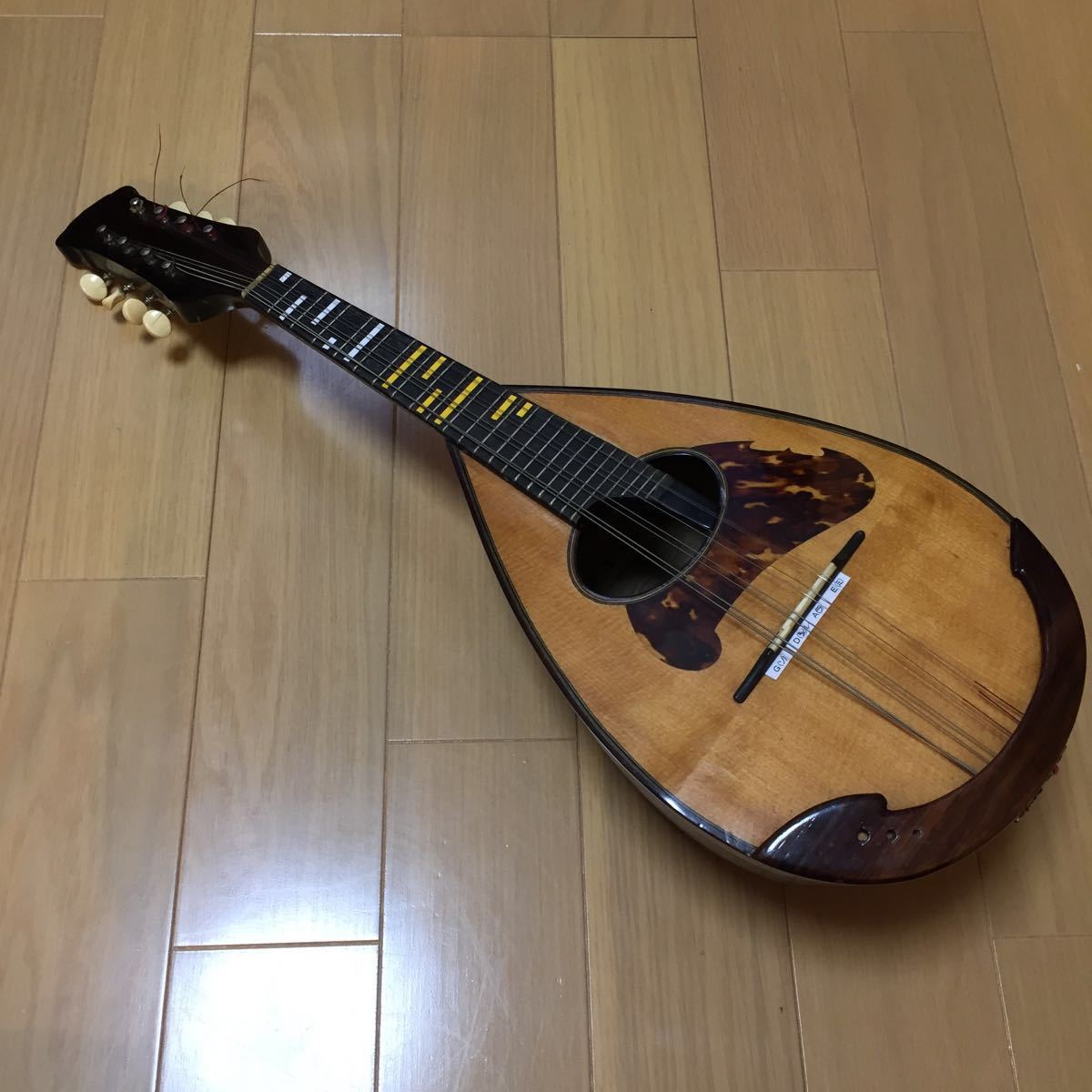 マンドリン 落合忠男 1971年製 ハードケース付き 撥弦楽器 Yahoo