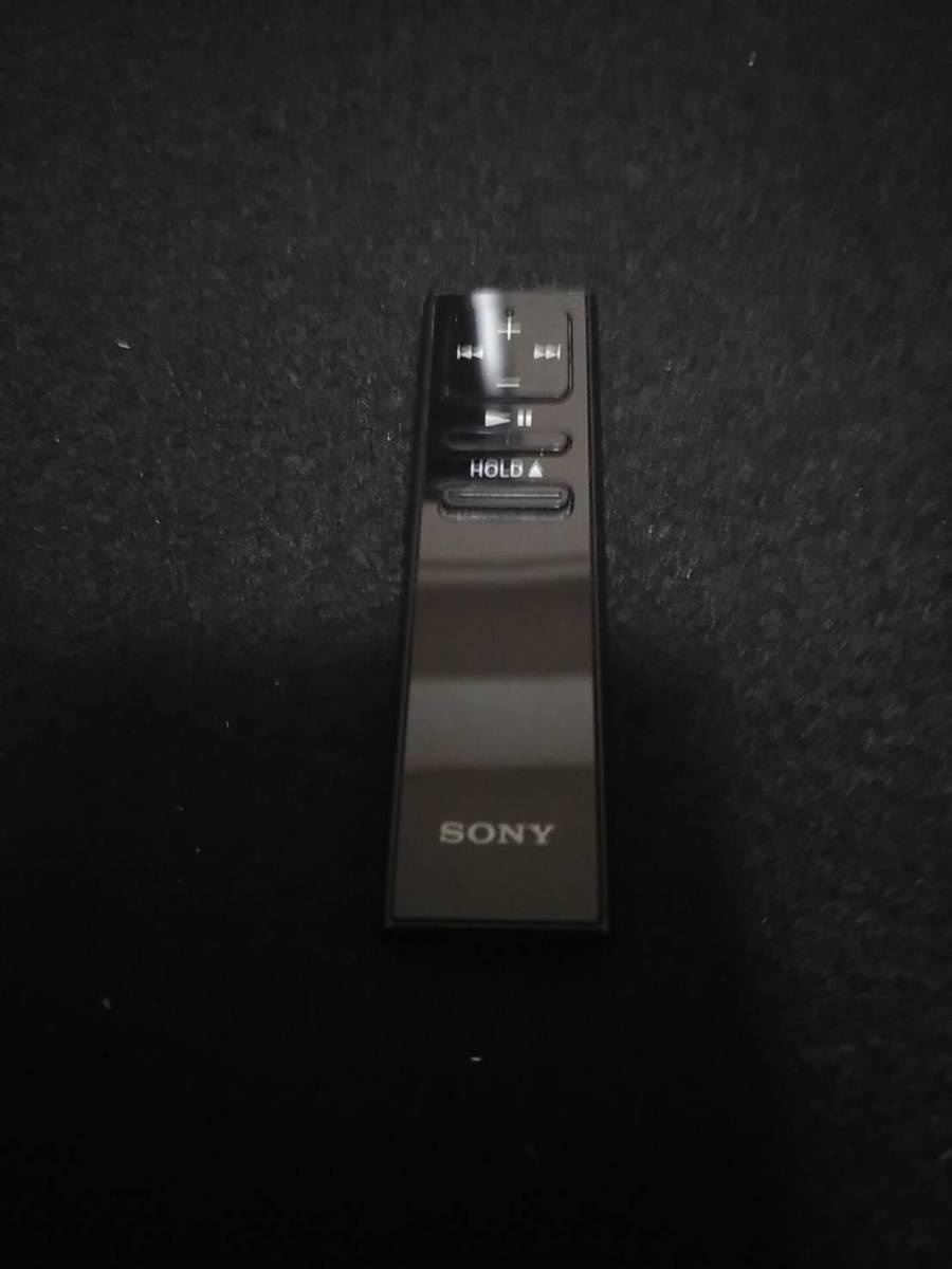 SONY ウォークマン NW-WM1A ケース リモコン・ケース付き 【公式通販】