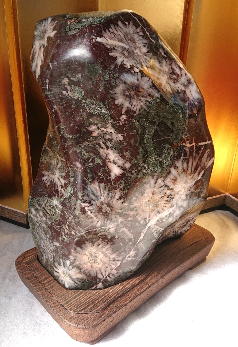 6) 根尾菊花石「菊一輪」鑑賞石 水石 菊花石 根尾菊花石 サバ菊 一輪花