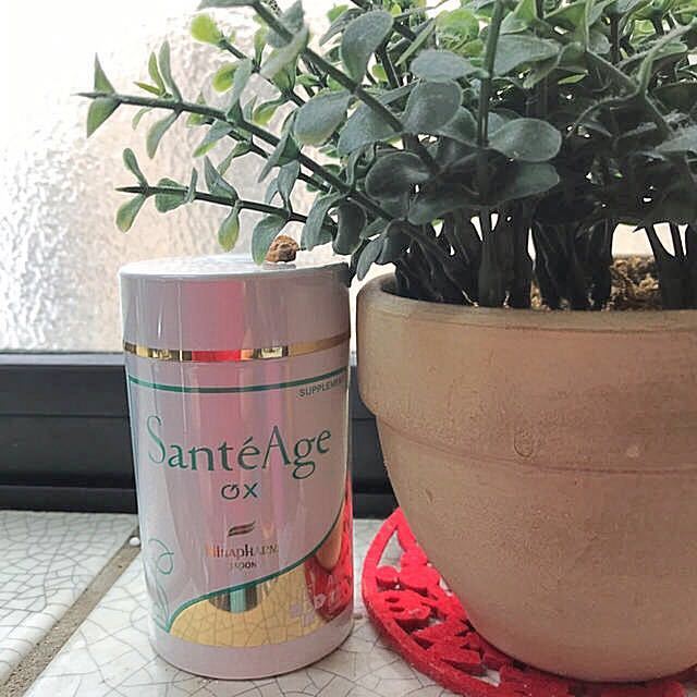 ニナファーム オキシリア１本_1