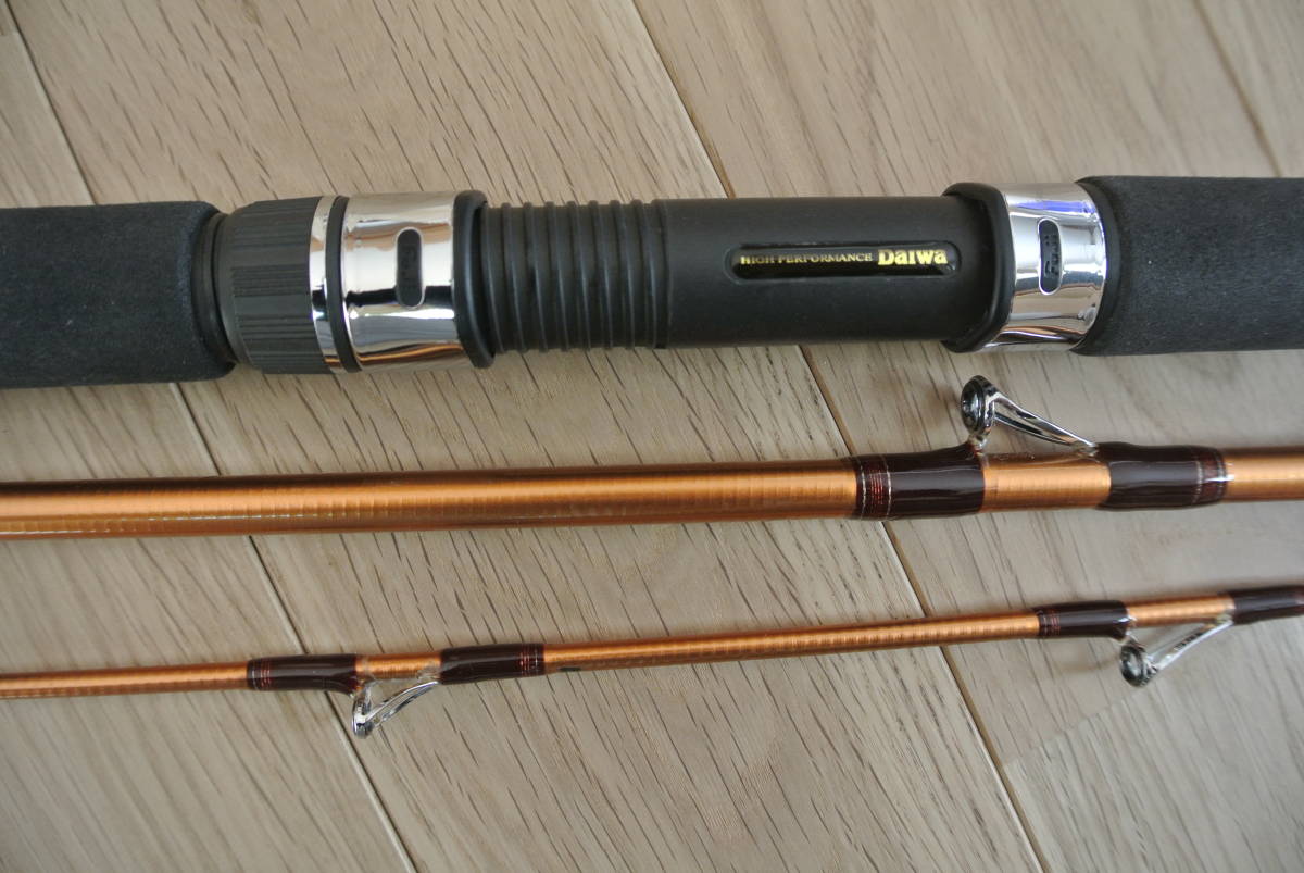 ダイワ潮流Ｖ2、50－300_3