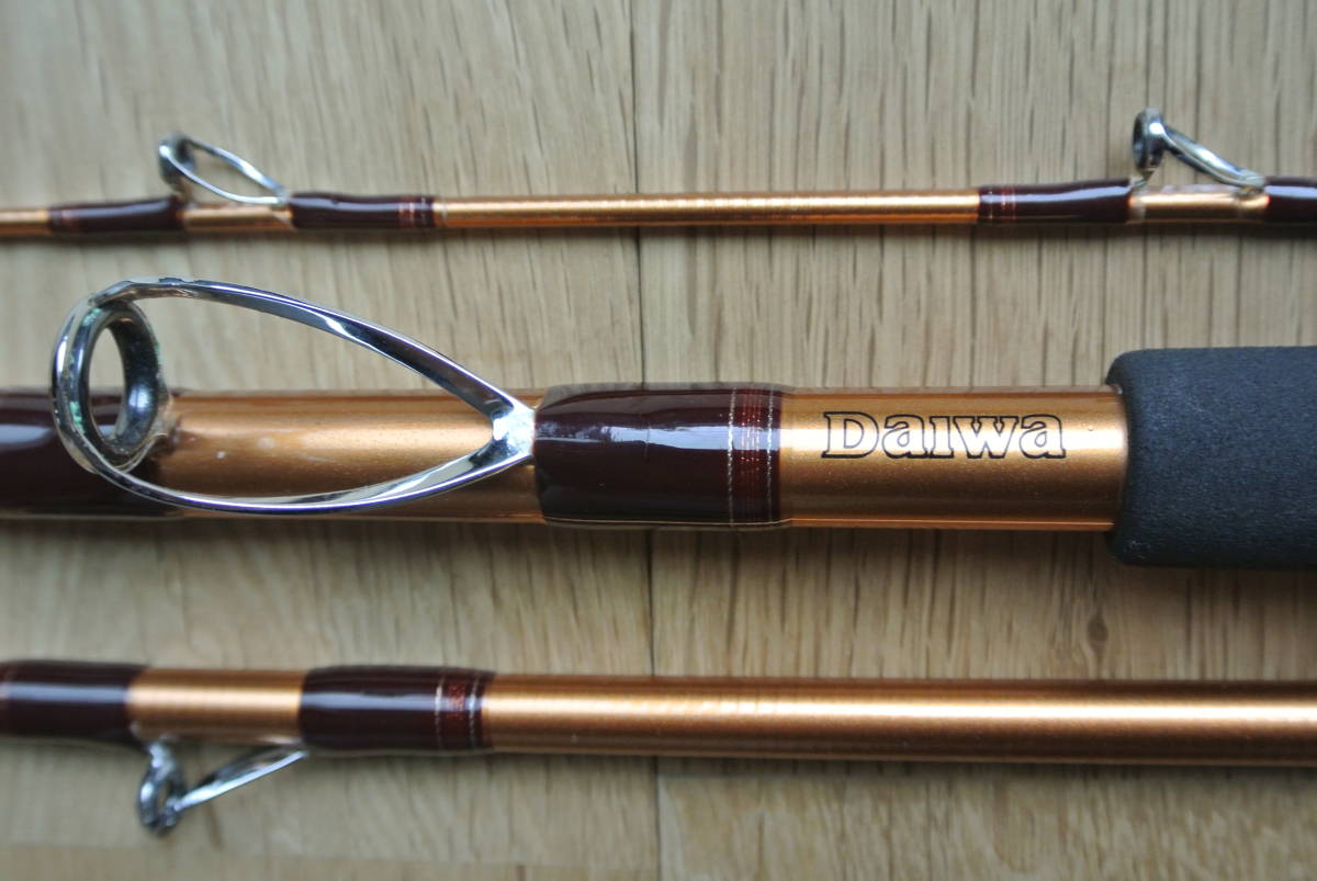 ダイワ潮流Ｖ2、50－300_6