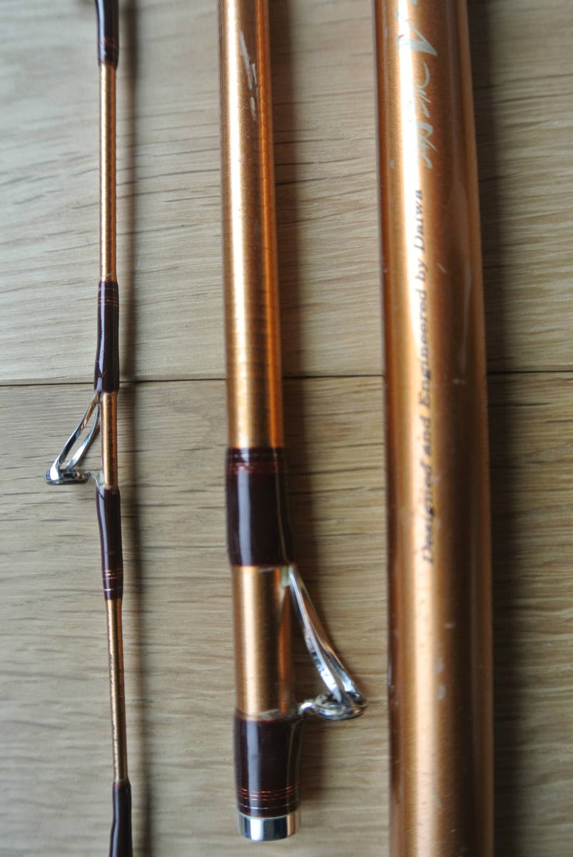 ダイワ潮流Ｖ2、50－300_9