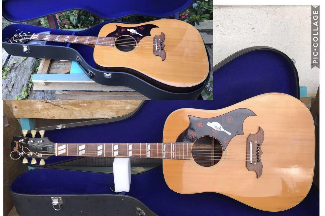 Pearl DOVE Model 林楽器製作所 Pearl， Dove model， パール ダヴ (林楽器製作所) アコースティック