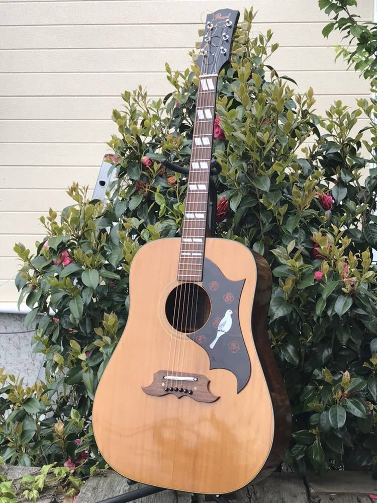 Pearl DOVE Model 林楽器製作所 Pearl， Dove model， パール ダヴ (林楽器製作所) アコースティック