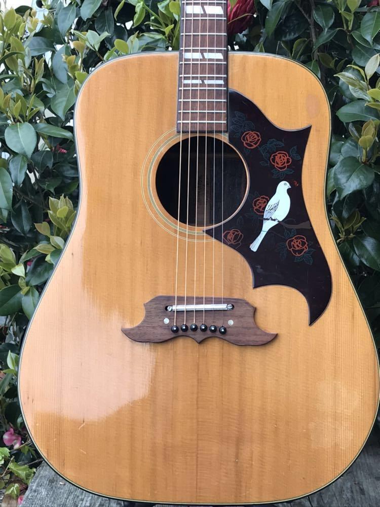 Pearl， Dove model， パール ダヴ (林楽器製作所) アコースティック