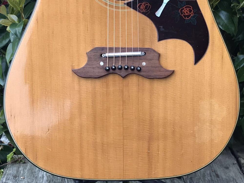 Pearl， Dove model， パール ダヴ (林楽器製作所) アコースティック