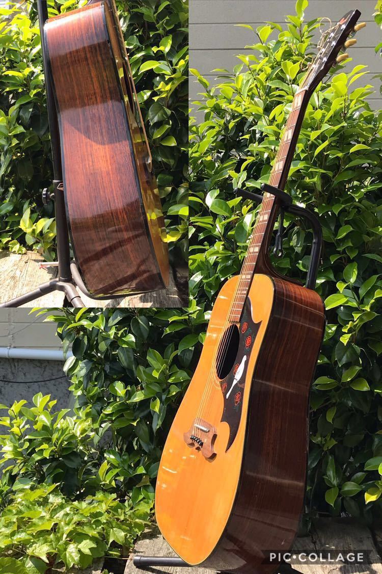 Pearl DOVE Model 林楽器製作所 Pearl， Dove model， パール ダヴ (林楽器製作所) アコースティック