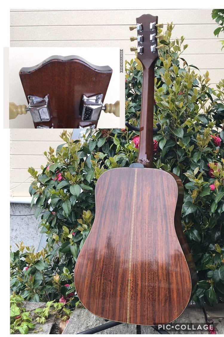 Pearl， Dove model， パール ダヴ (林楽器製作所) アコースティック