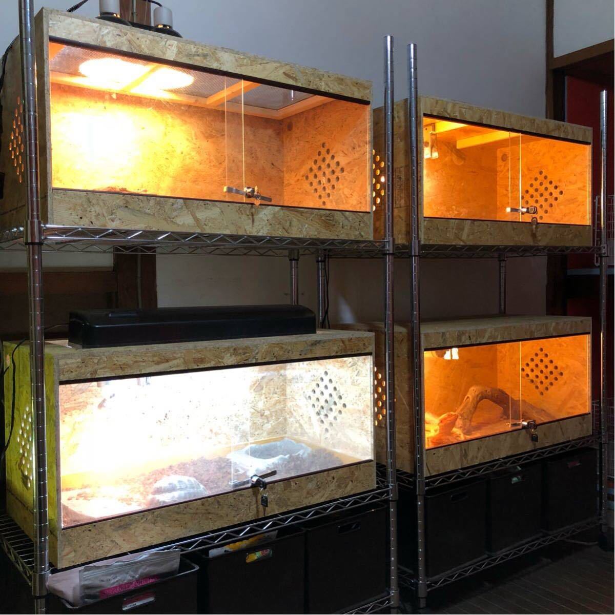 POPCORNLELE オリジナル爬虫類木製ケージ 800×400×400mm トカゲ リクガメ ヘビ ハリネズミなどに オーダーケージ ポップコーンレレ_6