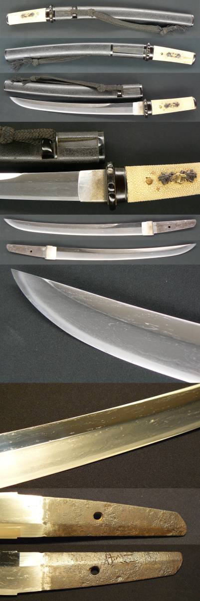 新作入荷，定番人気 脇指 守行 在銘 研ぎ上がり 素晴らしい鍛え肌 強靭 戦国時代 綺麗な御刀 時代小サ刀拵入 大名家 家紋入り 刀剣乱舞 真剣(脇差、短刀)｜売買されたオークション情報、yahooの商品情報をアーカ 脇差、短刀