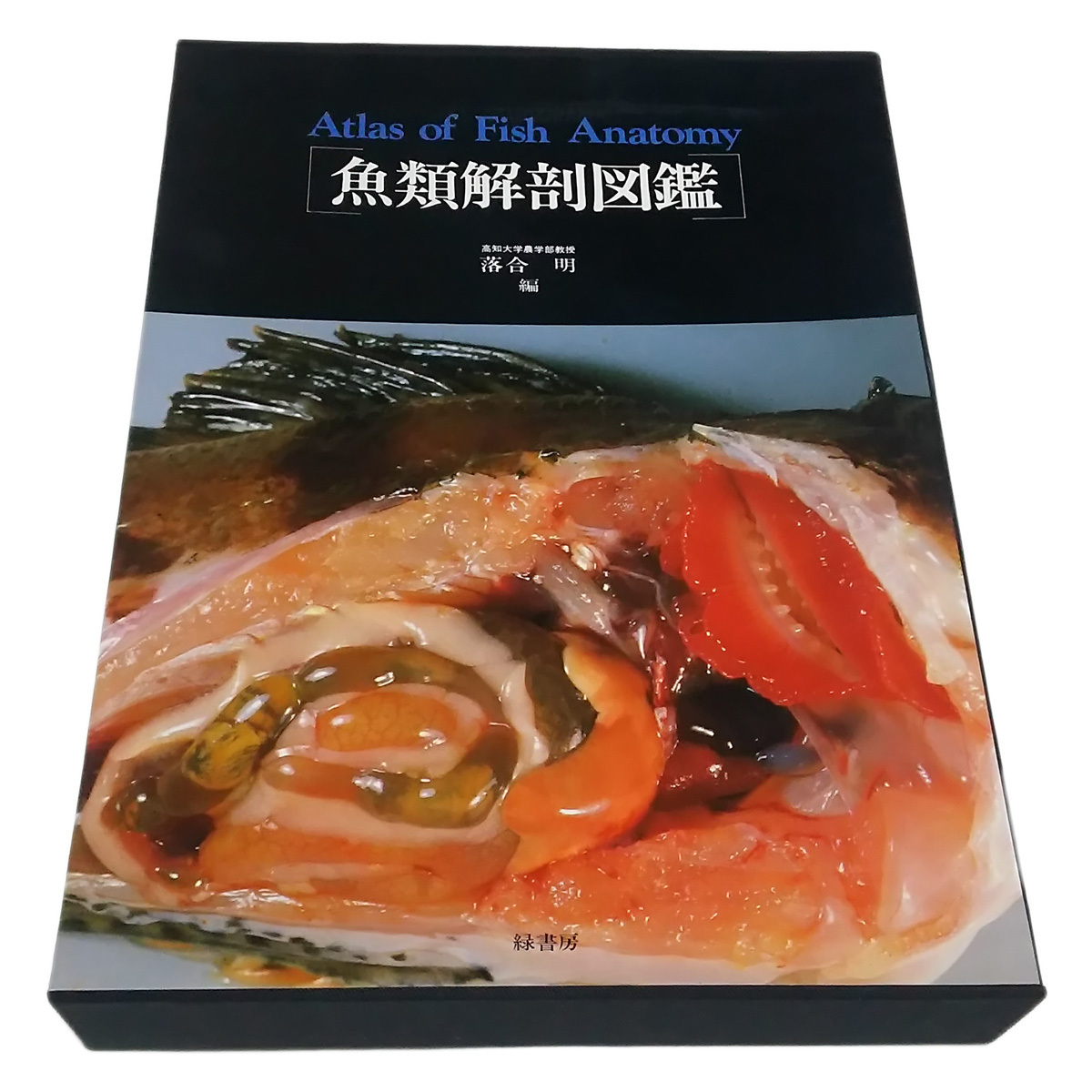 送料無料☆魚類解剖図鑑