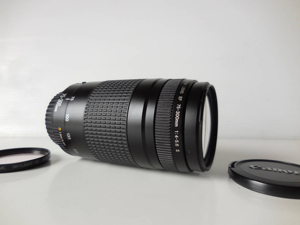 75-300mm Canon ズームレンズ USM F4-5.6 EF EF75-300mm - f4-5.6